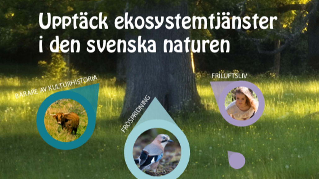 Framsida av skriften Upptäck ekosystemtjänster i den svenska naturen.