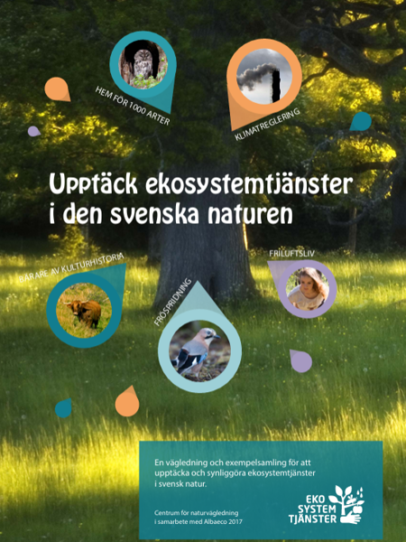 Framsida av skriften Upptäck ekosystemtjänster i den svenska naturen.