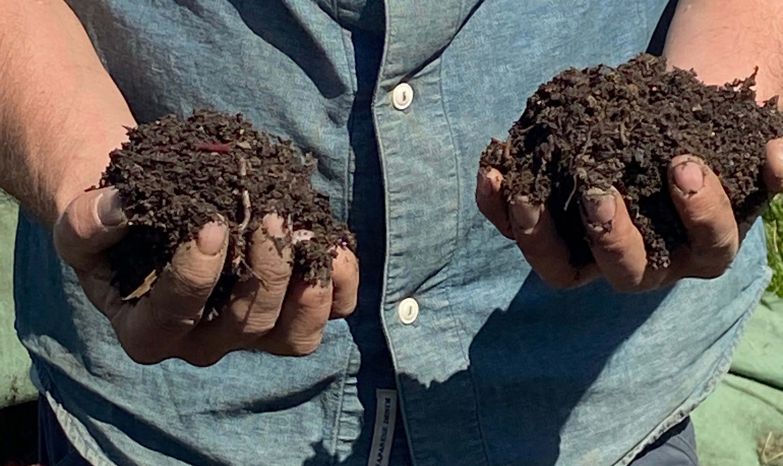 Två händer håller i kompostjord. Foto.