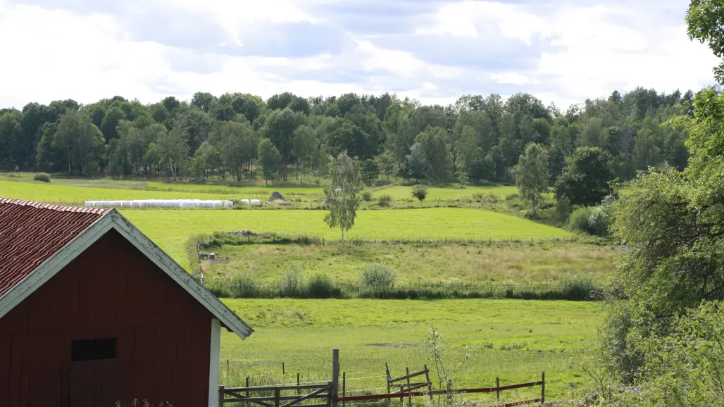 Svensk jordbrukslandskap med åkrar och skog.
