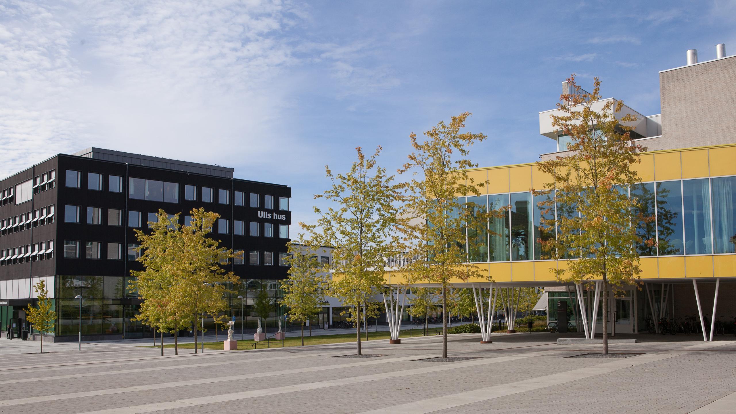 Ull's house, a black cube. The yellow entrance to the Biocentrum is visible on the right. Photo.
