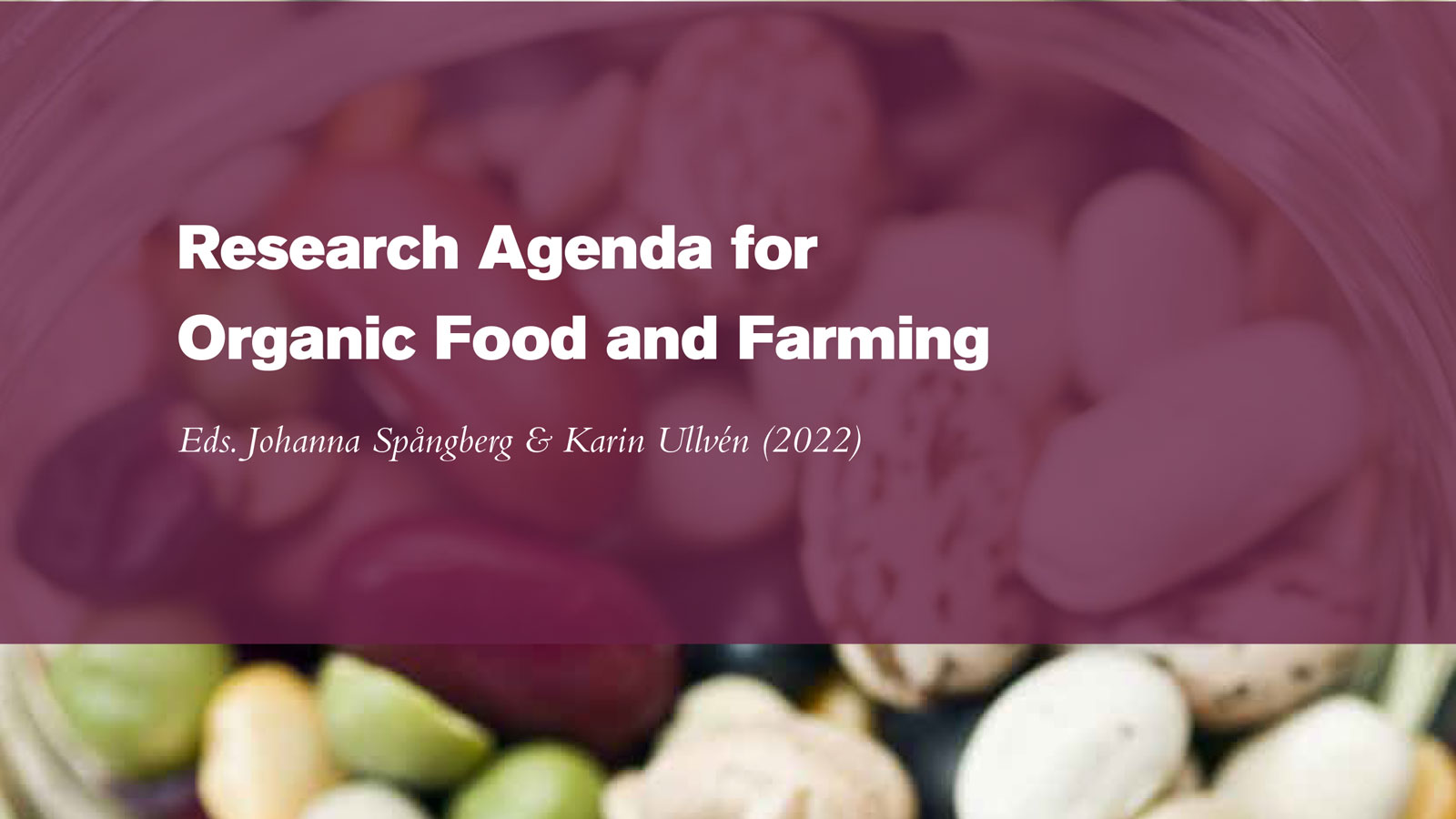 Title for a publication "Research Agenda..."