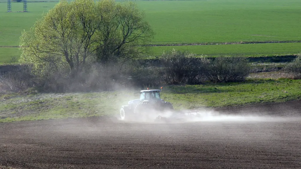 En traktor harvar så att det dammar på en åker i ett vårlandskap. Foto.