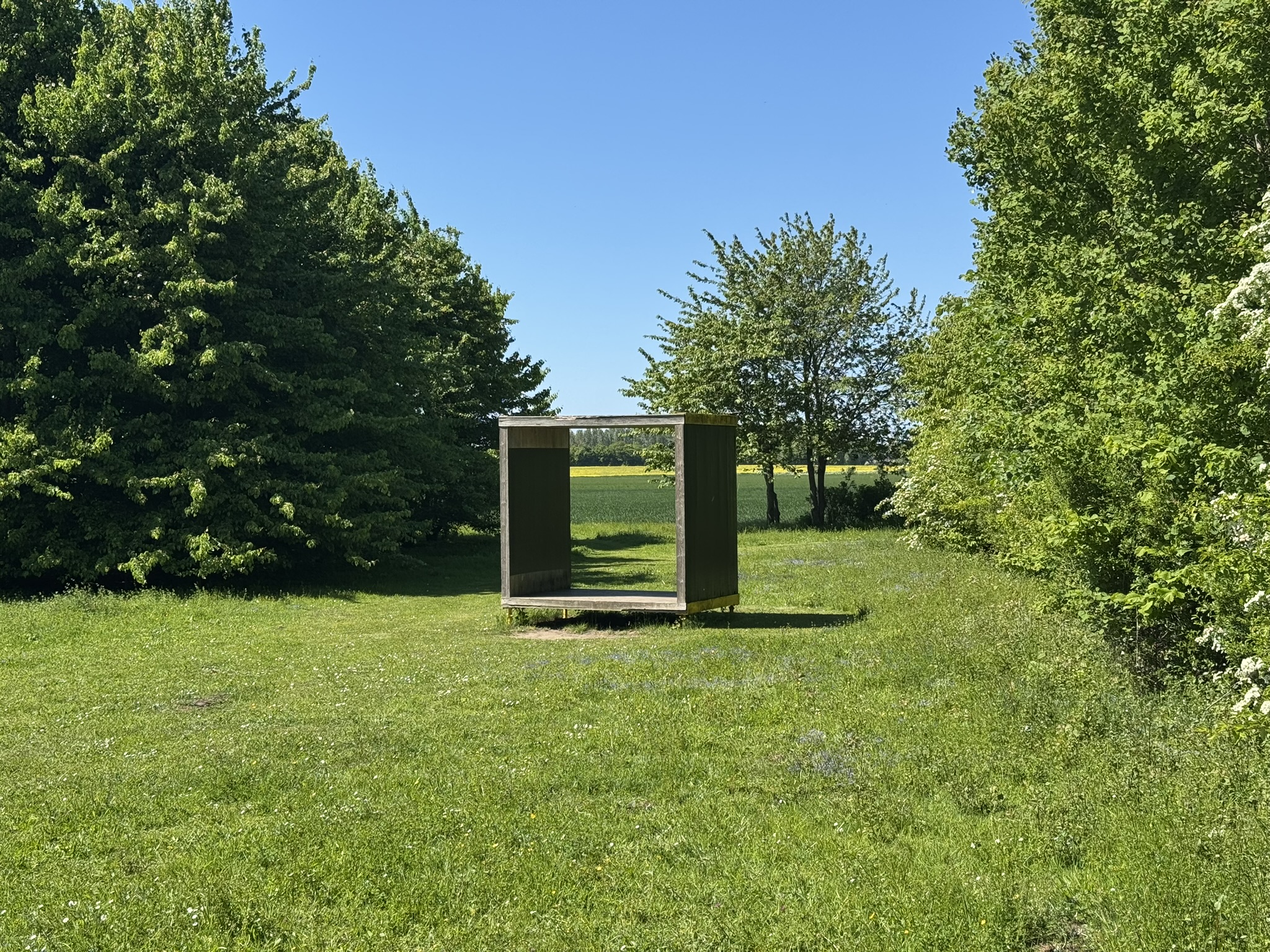 Ett konstverk i skogen