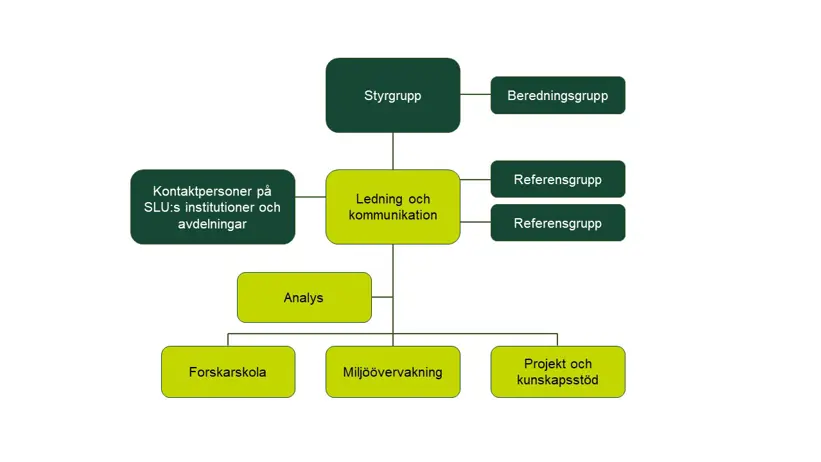 Organisation chart. Picture.