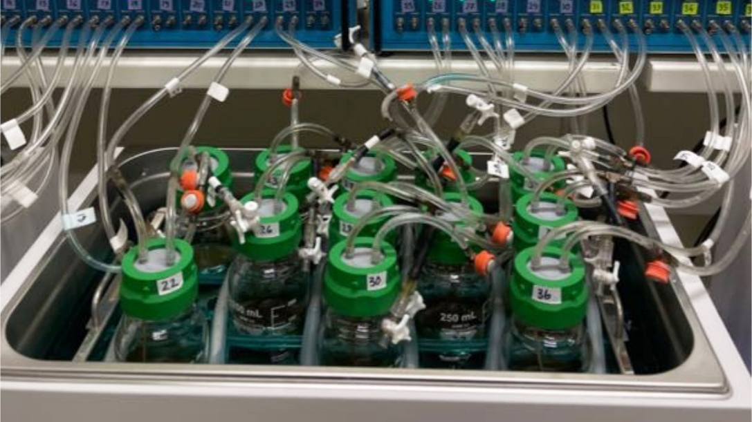Bottles with hoses in a laboratory. Photo.