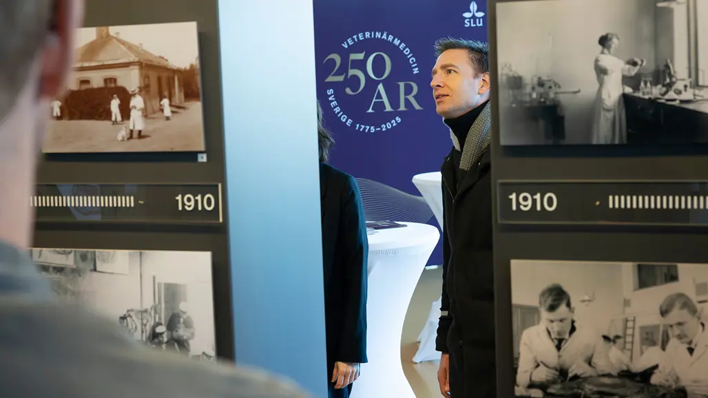 Besökare betraktar historiska bilder i Dåtid-nutid-framtid utställningen