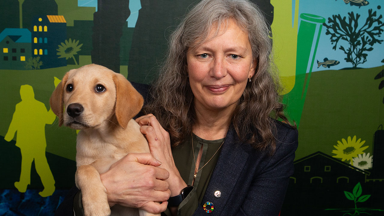 Woman with a dog on her lap.