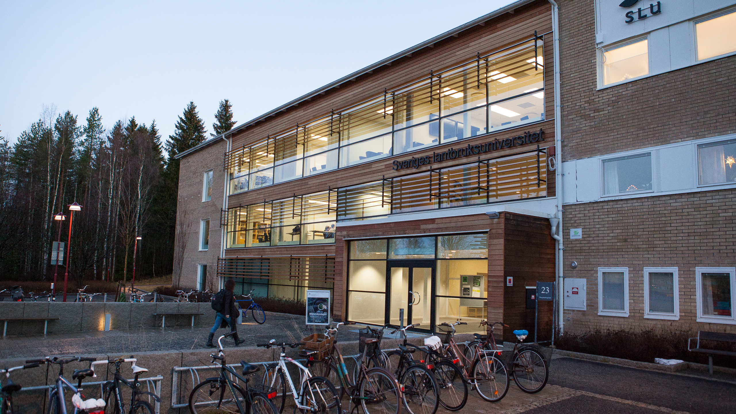 SLU, Campus Umeå. 