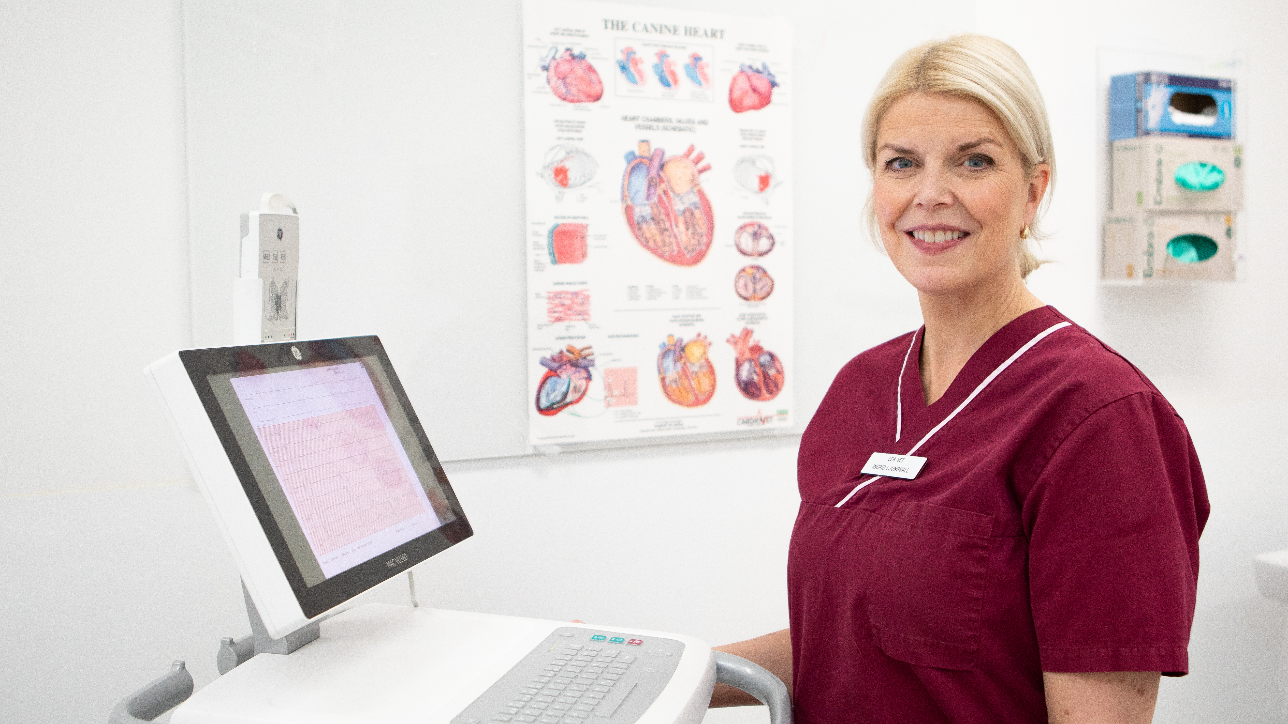 Veterinarian Ingrid Ljungvall stands next to an ECG machine in front of an anatomical poster of the canine heart.