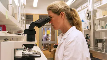 A woman in a lab coat looks into a microscope. Photo.
