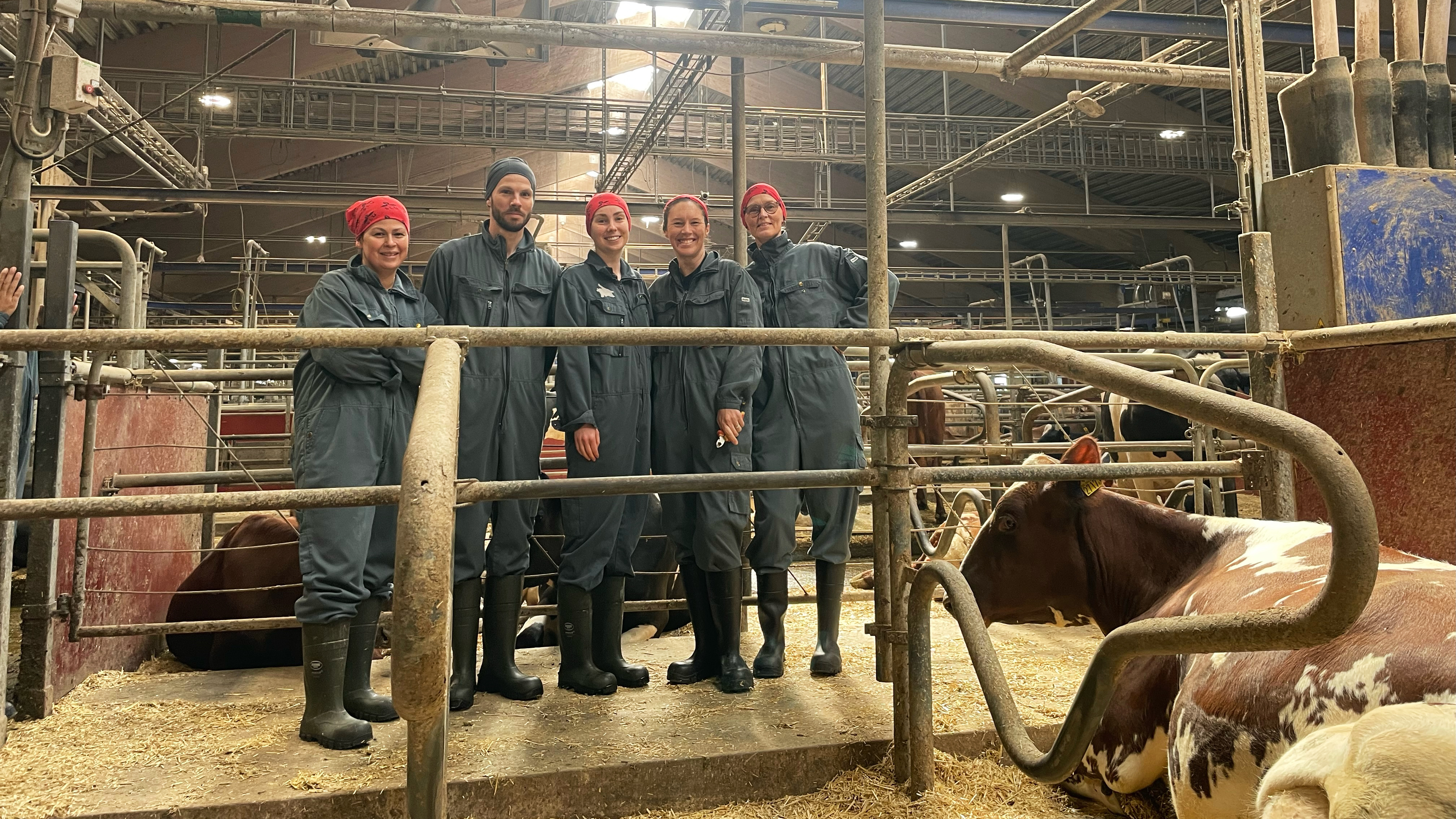 A group of people in work clothes in a barn. Photo