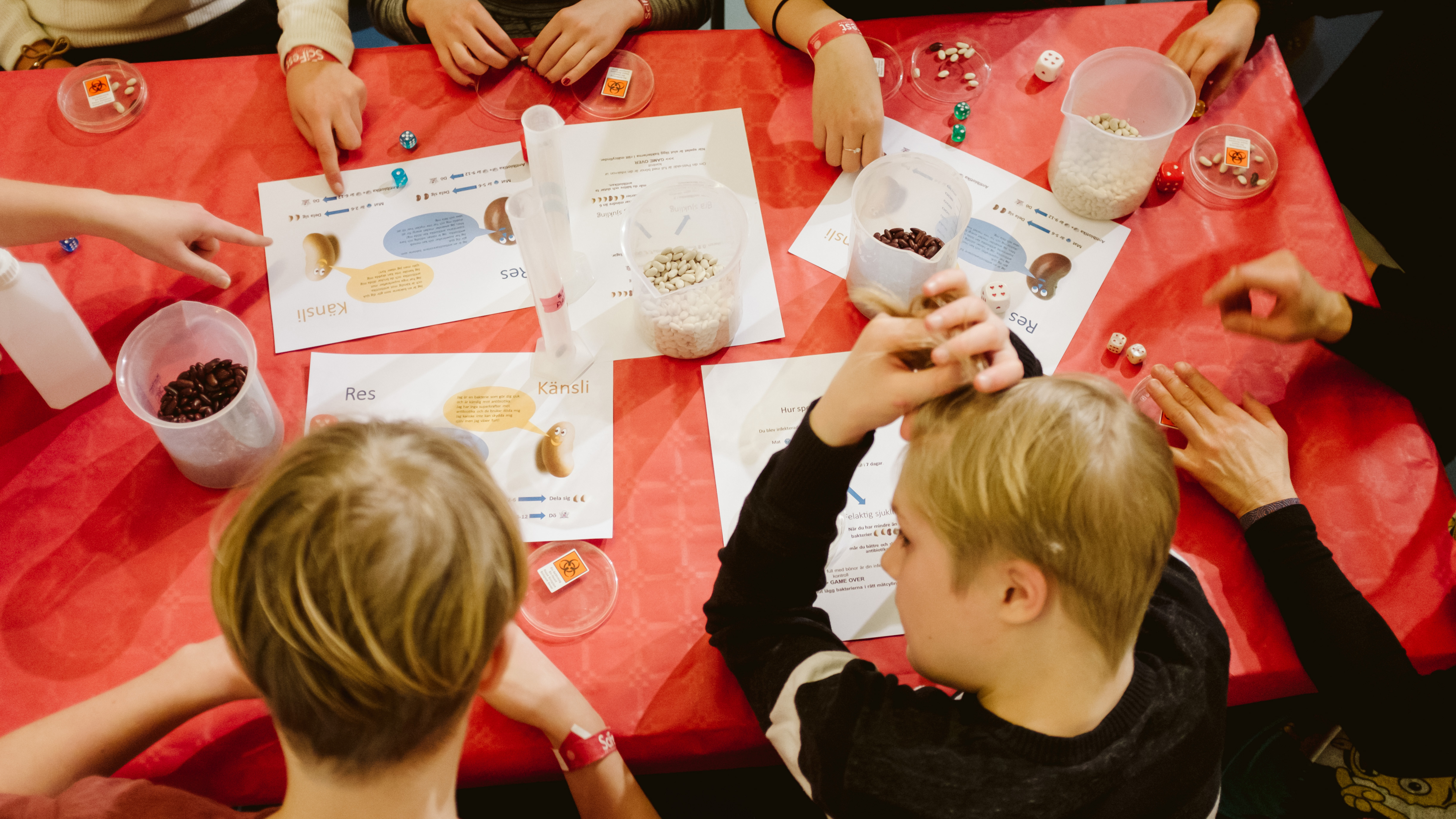 Children sit at a red table with plastic jars of seeds and paper with information. Photo.