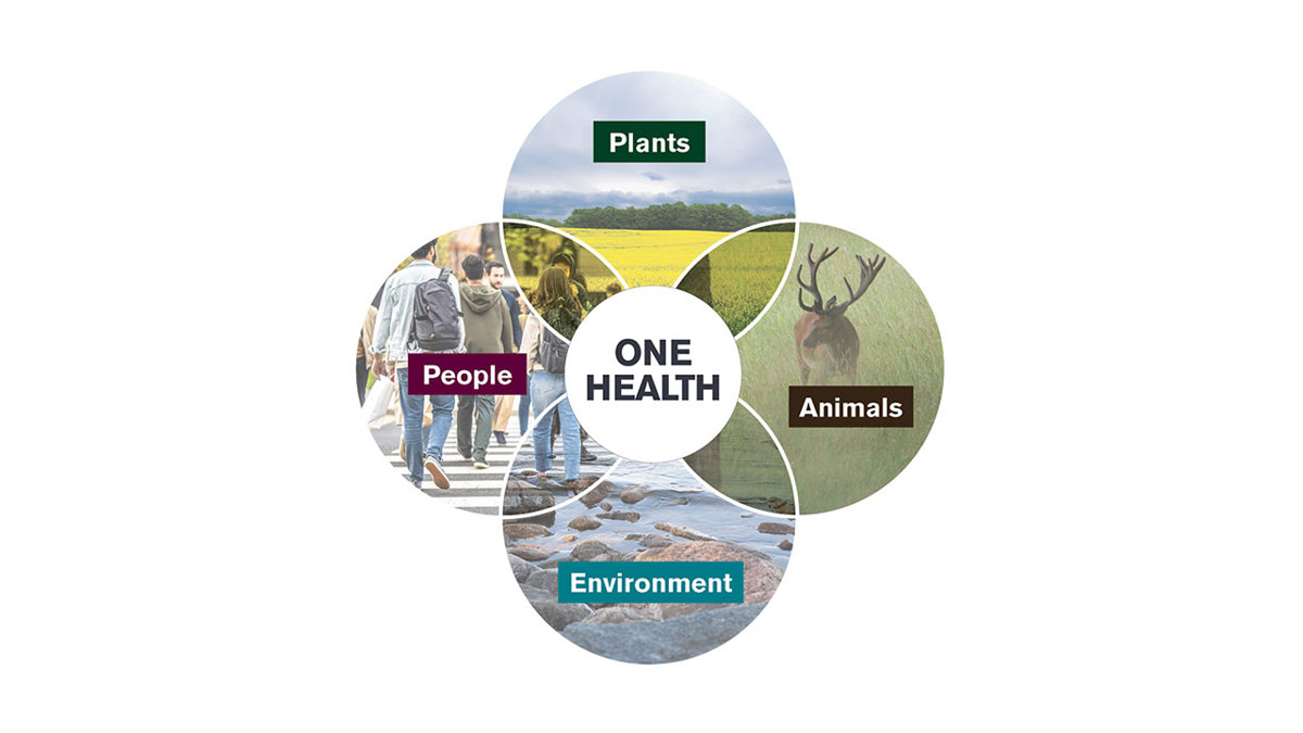 Humans One Health About One Health | slu.se