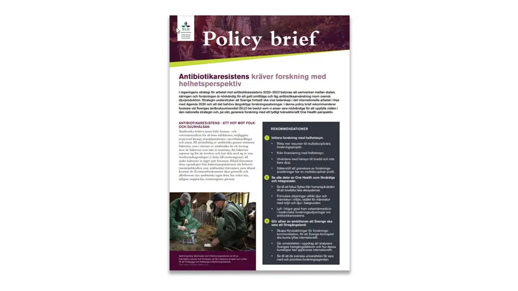 Cover of a report.