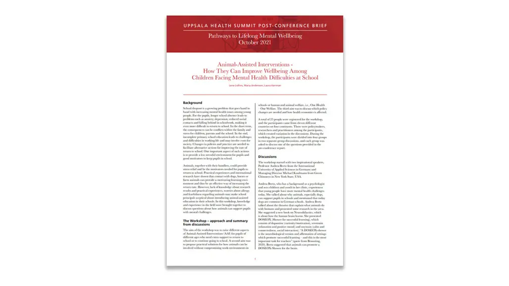 Cover of a policy brief. Image.