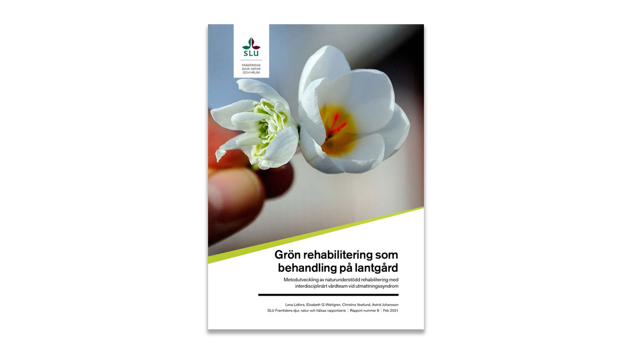 Rapportomslag föreställande en vit blomma.