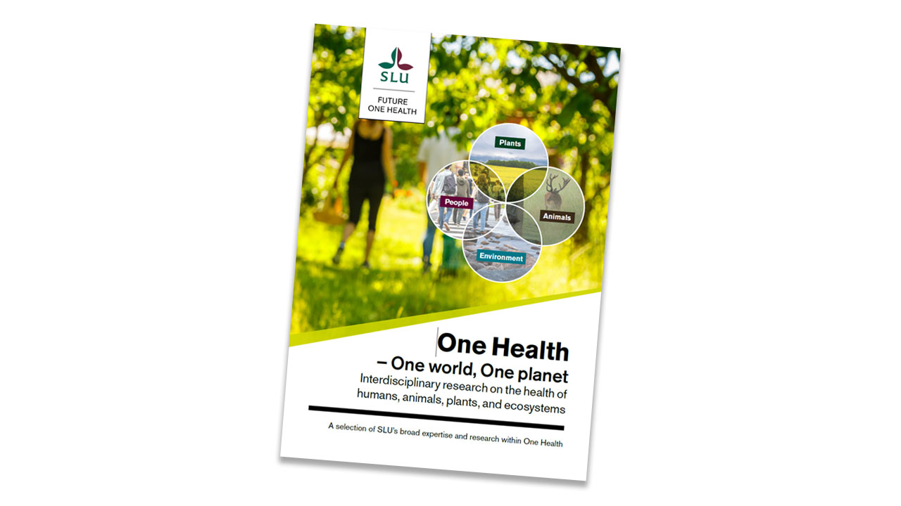 Rapportomslag. Bild.