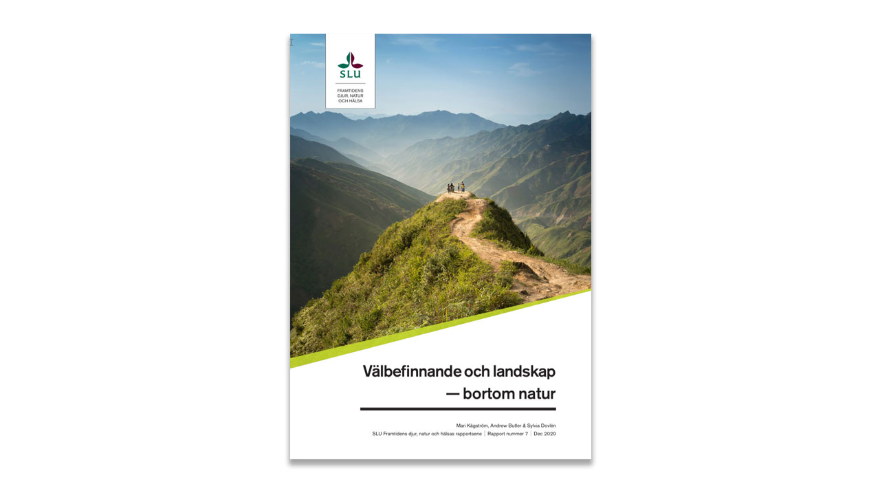 Report cover. Image.