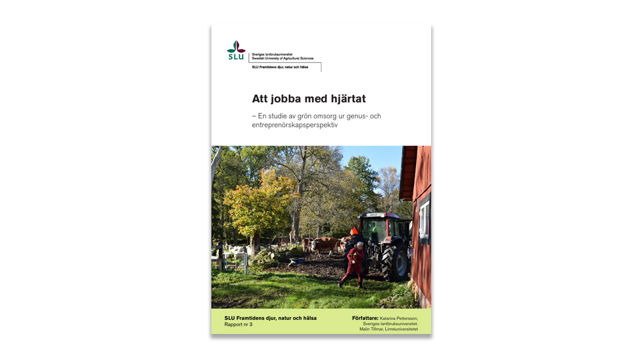 Report cover. Image.