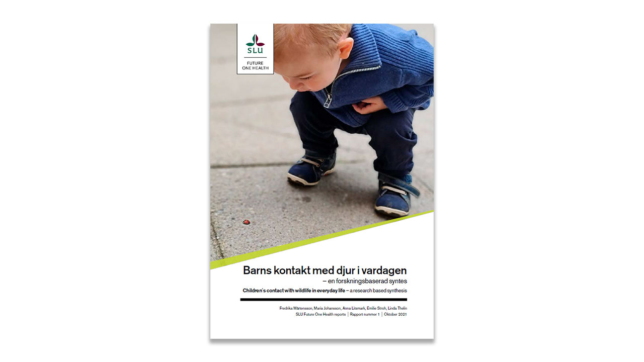 Report cover showing a small child crouching down and looking at a ladybug.