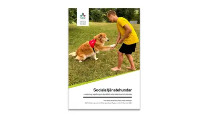Rapportomslag. Bild.