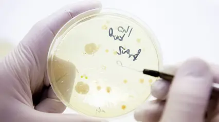 Close-up of a swab in a laboratory environment.