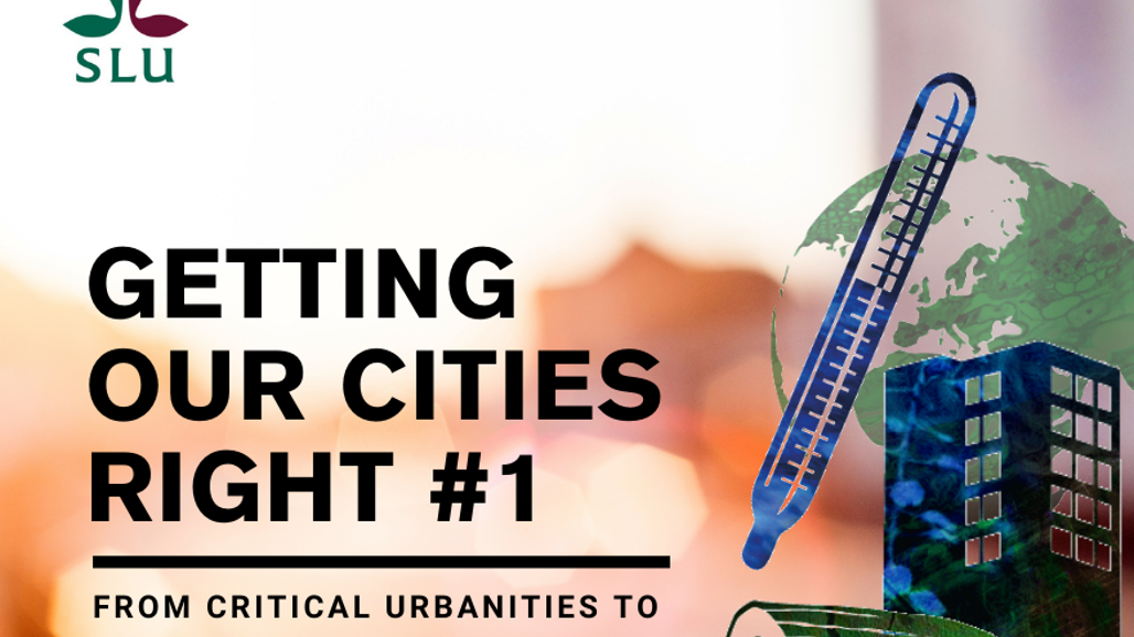 getting our cities right-1