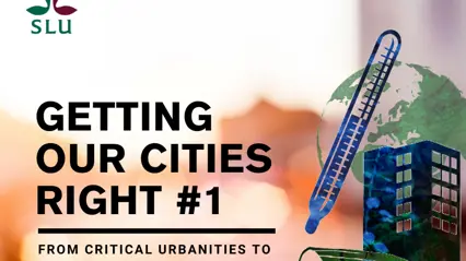 getting our cities right-1