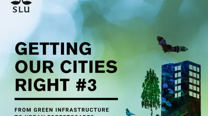 Getting our cities right 3
