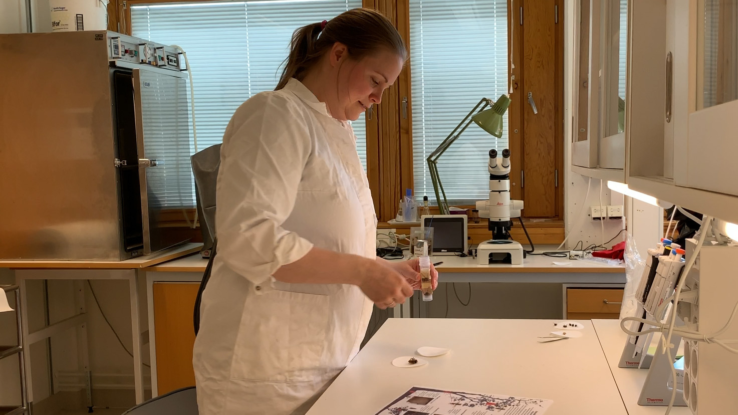 A woman works in a laboratory.