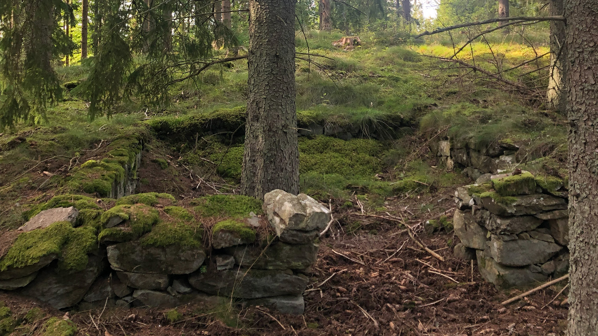 Stenmur i skog.
