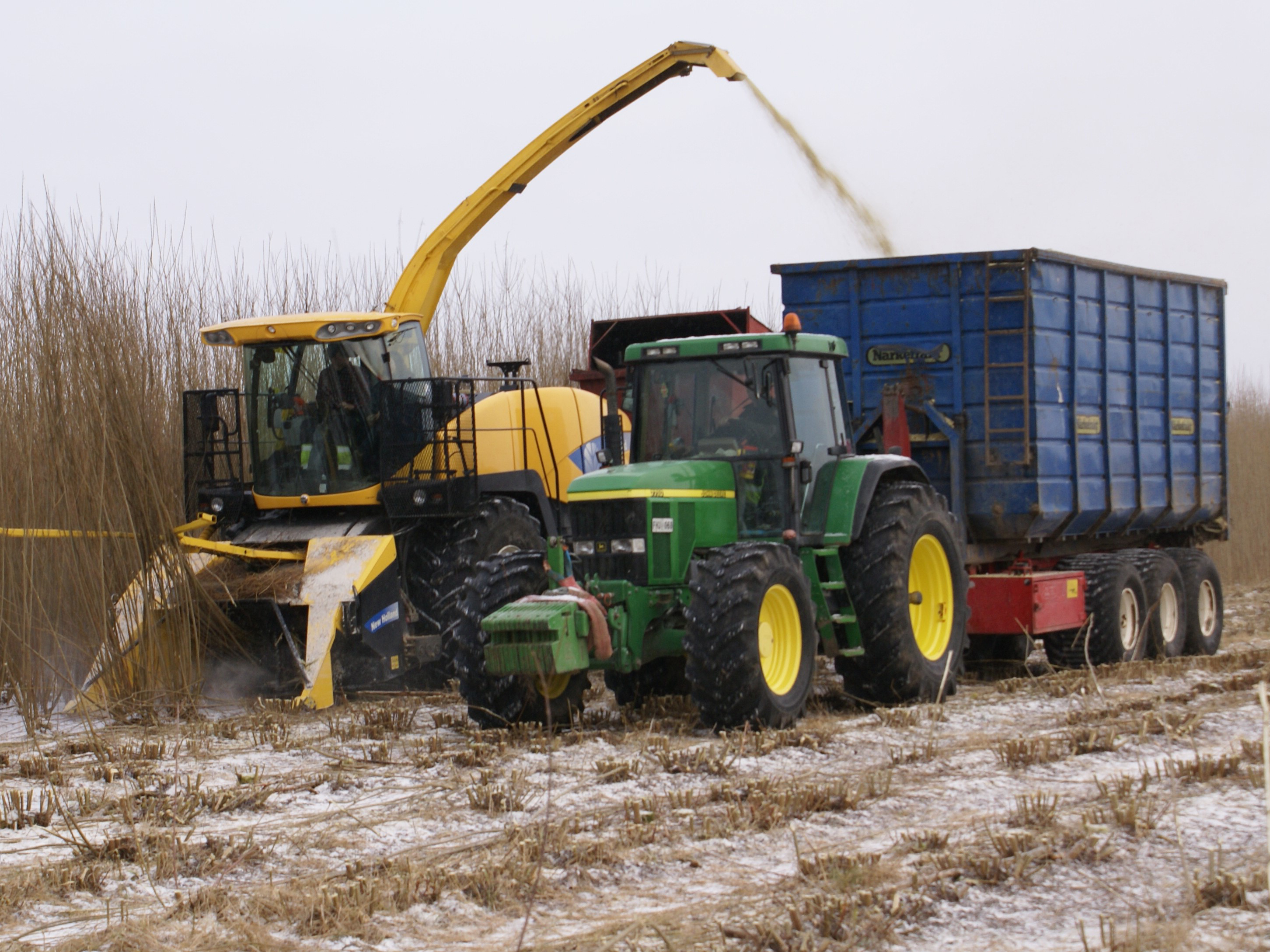 Salix is harvested mecanically and sent into a trailer connected to a green tractor