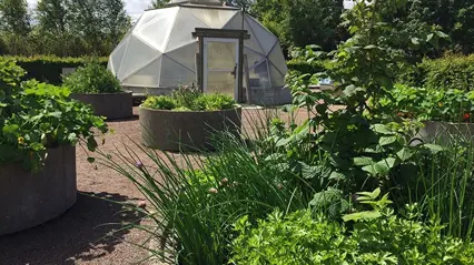 Alnarps rehabiliteringsträdgård på sommaren