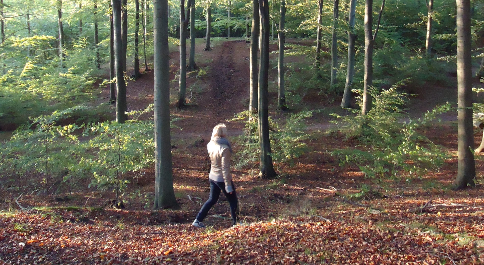 En person som går i en skog