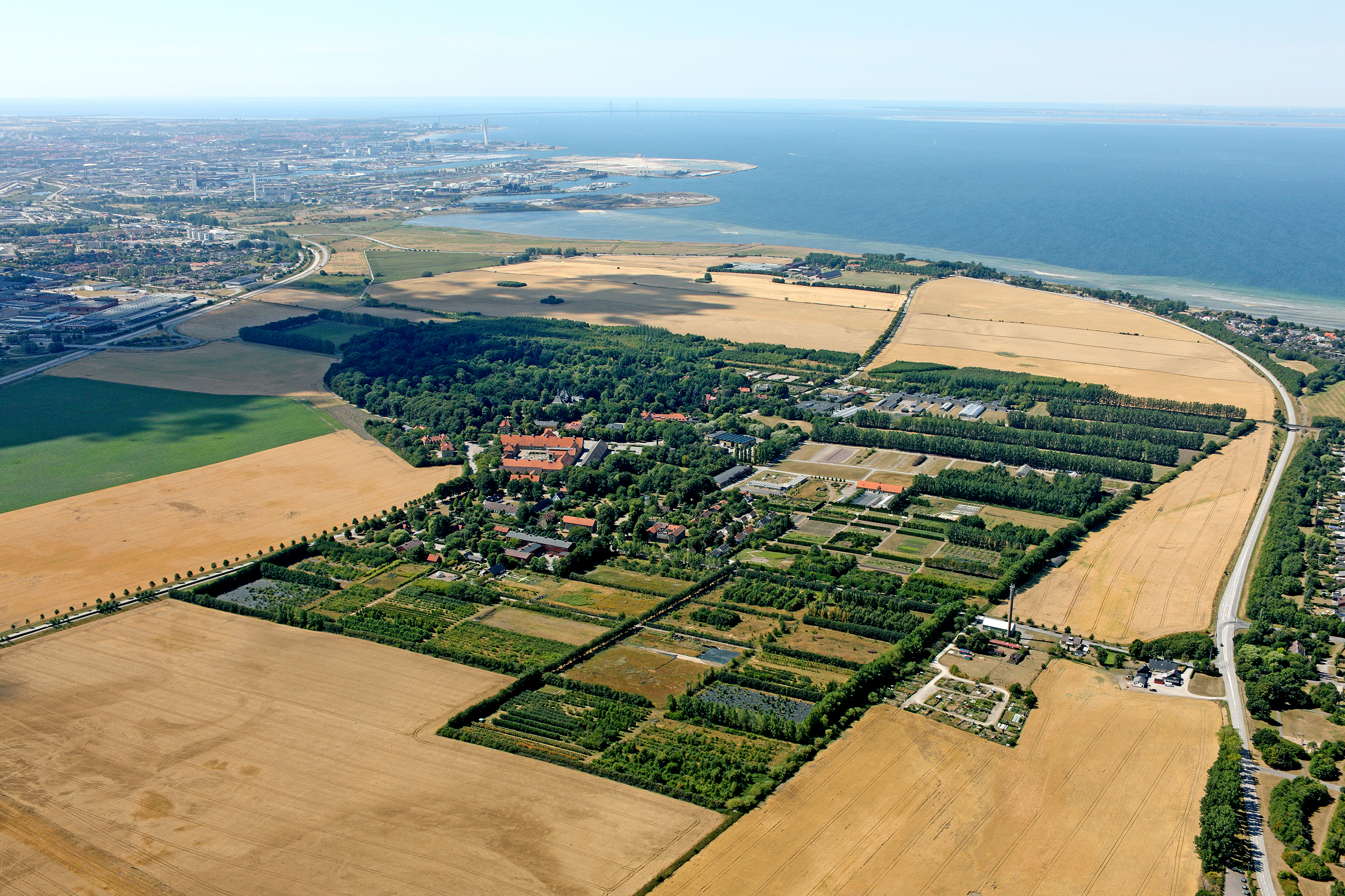 An aerial view of a landscape with yellow fields, green gardens, and forests. In the center, there is a cluster of buildings with red roofs, surrounded by cultivated land. To the right, a coastline with the sea is visible, and a city is seen in the background.