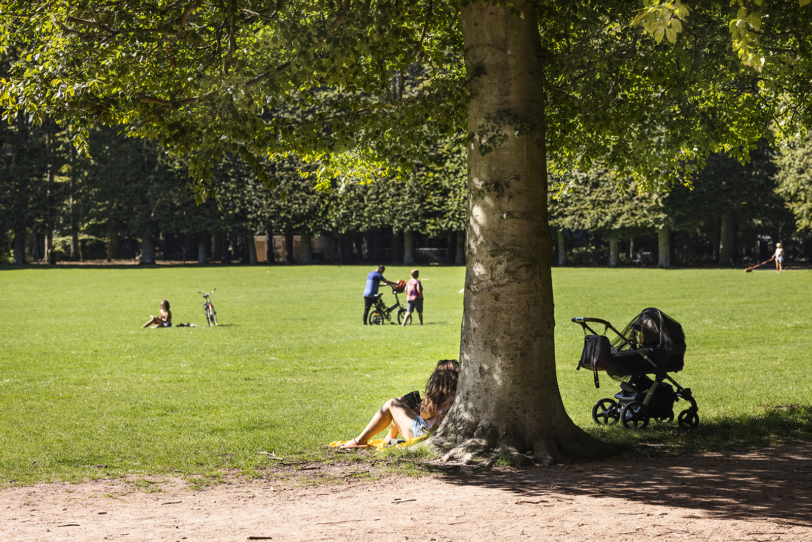 En person som vilar mot ett träd i en park
