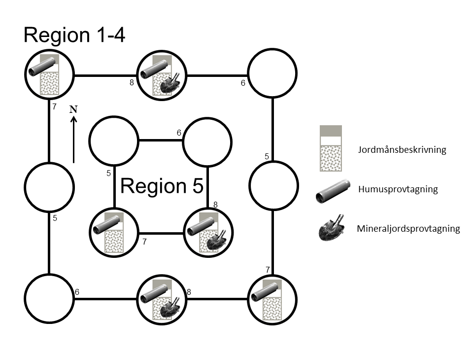 Overview of work tasks and where they are carried out on the site.