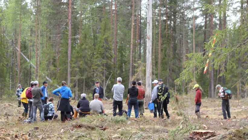 En grupp människor som står och sitter i en skog och lyssnar på en person som står framför gruppen