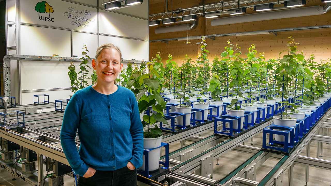 En kvinna med blå kofta och blont hår står framför en teknisk plattform där asp-träd växer i vita krukor som är fästa i blå hållare. Hon tittar in i kameran och ler.