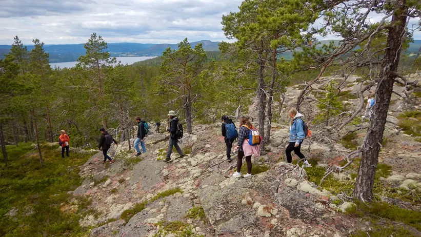 Personer går nerför en stenig kulle med några träd. Havet syns i bakgrunden.