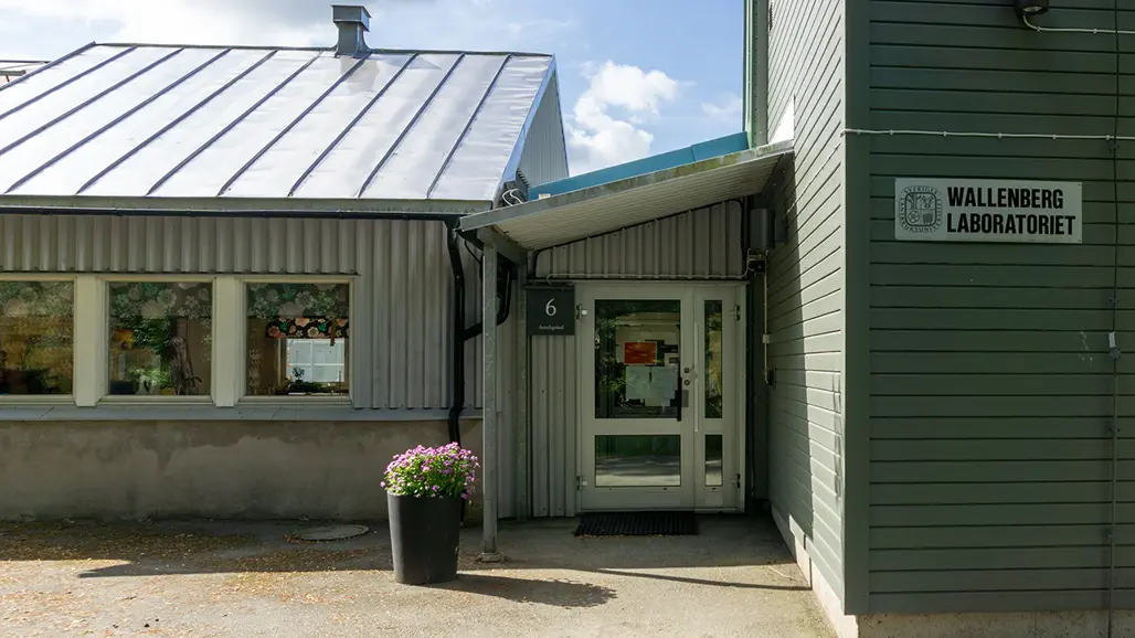 Entrance to Wallenberg Greenhouse with a metal roof, large windows, and a potted plant with pink flowers by the door. A sign reading 'Wallenberg Laboratoriet' is visible on the right side of the building.