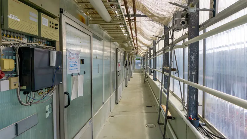 A long corridor in the Wallenberg greenhouse with metal walls and doors on one side, transparent panels on the other side allowing natural light in, various electrical equipment mounted on the walls, pipes and cables running along the ceiling, and a ladder leaning against one wall.