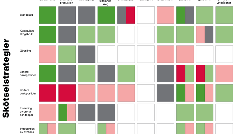 En matris som visar effekterna av olika skötselstrategier på ekosystemtjänster, biodiversitet och skador. Lyssna till pod för mer information