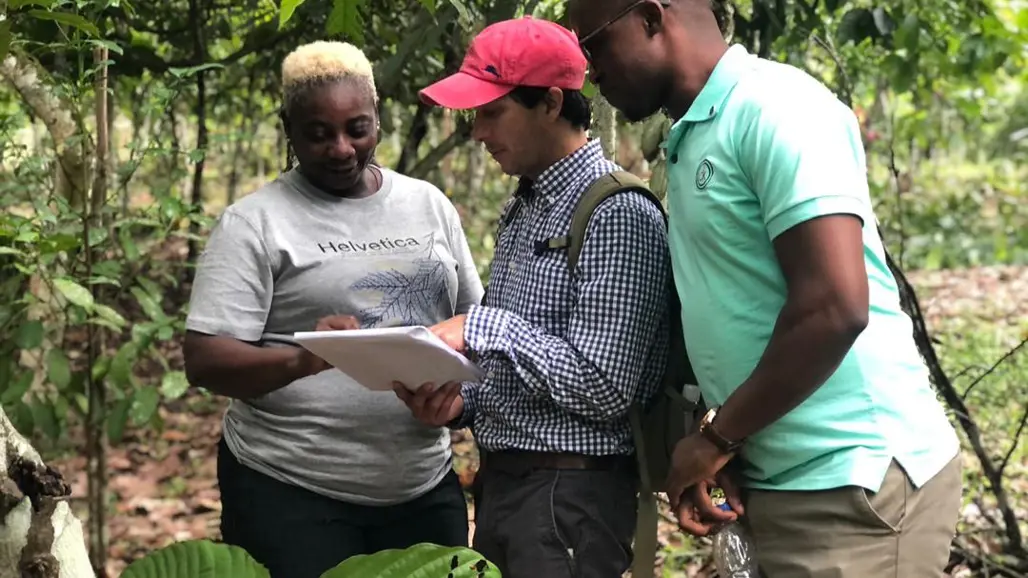 Three researchers bent over a paper, standing in a cacao farm