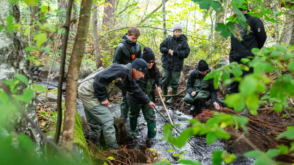 A group of people in waders are electrofishing in a small stream surrounded by lush forest. A man in waders and a cap holds a net and an electrofishing rod while talking to the others, who are holding a black bucket and other equipment. The environment is natural and humid, with rocks and branches in the water