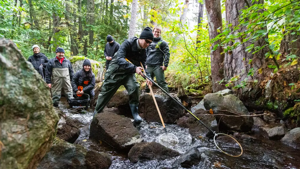 A person in waders and a cap uses an electrofishing rod and a net to catch fish in a small stream surrounded by forest. Behind him, a group of people in wading boots and warm clothes, some holding equipment and one smiling at the camera. The water rushes between the rocks in the lush forest environment.