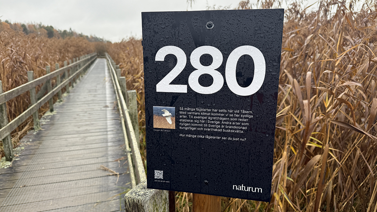 Räkna med förändring Tåkern