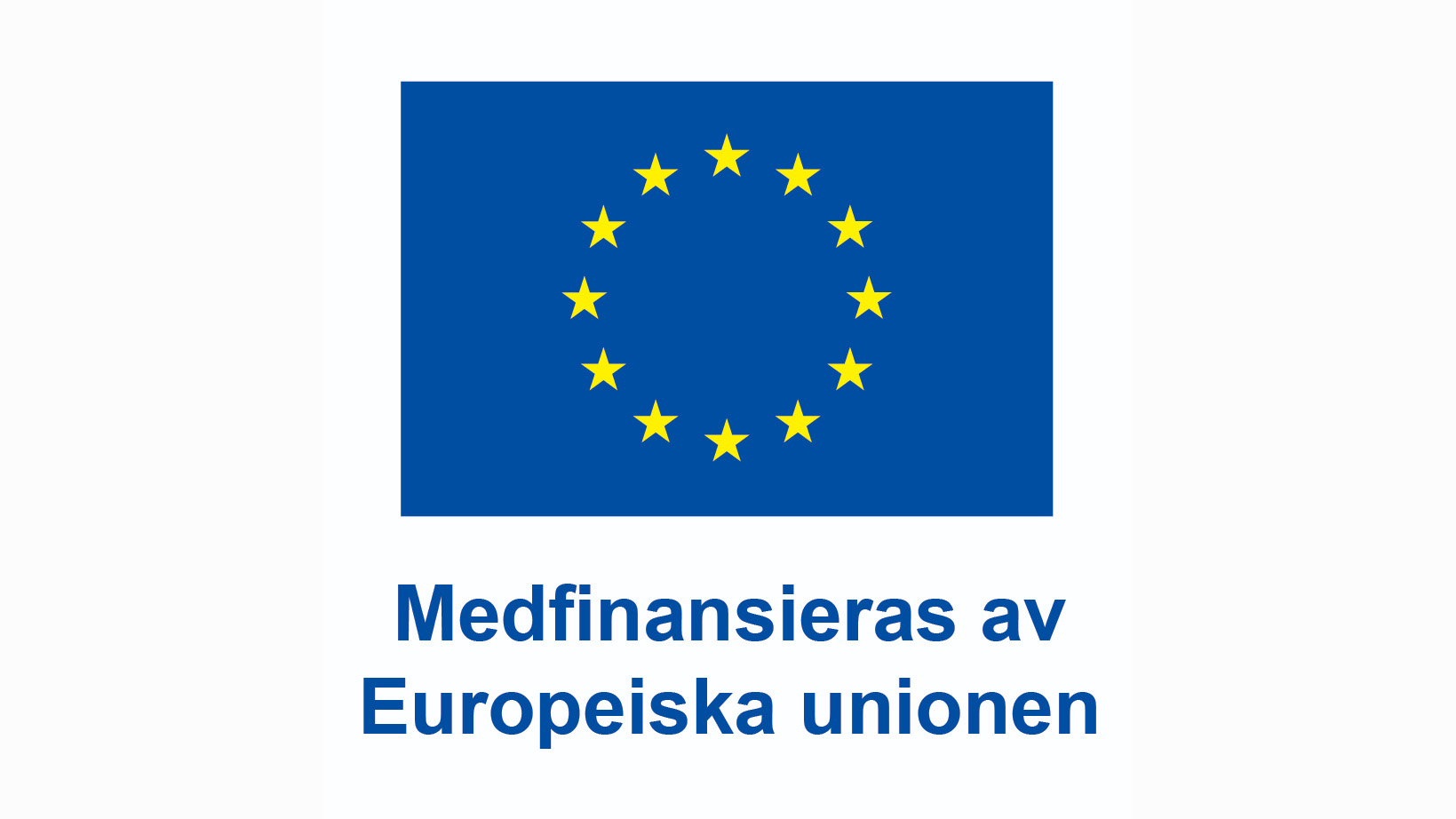 Logotyp med EU-flaggan i färg och texten Medfinansieras av Europeiska unionen.