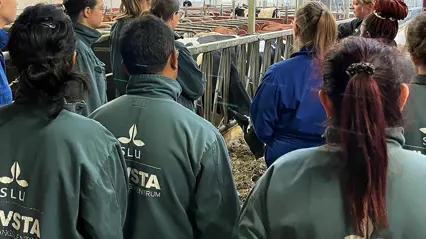 Studenter besöker kostallet på Lövsta forskningsstation
